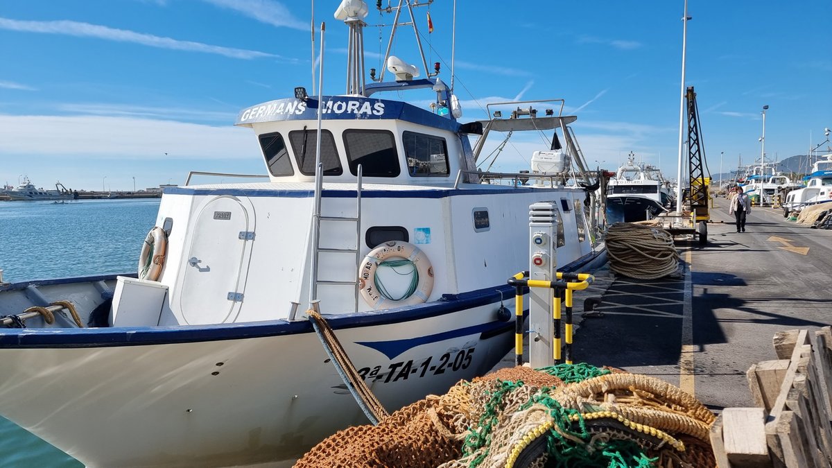 Imagen de Capitol 11 - 2017